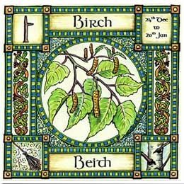 Beith Birch Ogham Abedulcard | El Abedul: El Principio, La Renovación Y La Juventud | Oráculos & Mancias
