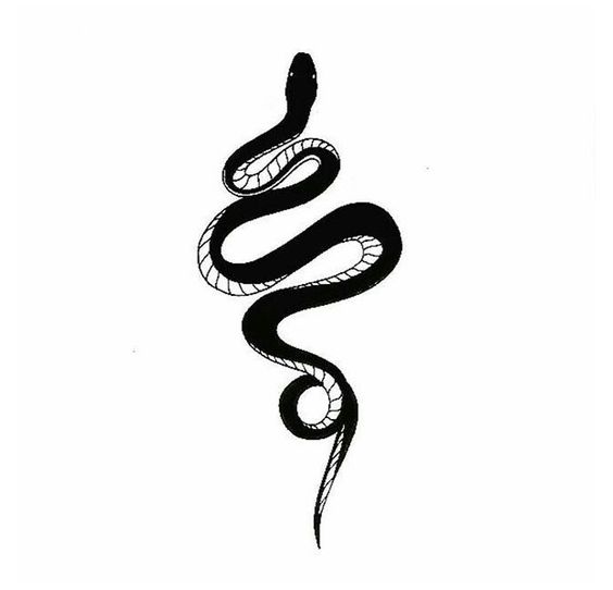 Serpiente | Simbolismo De La Serpiente | Símbolos