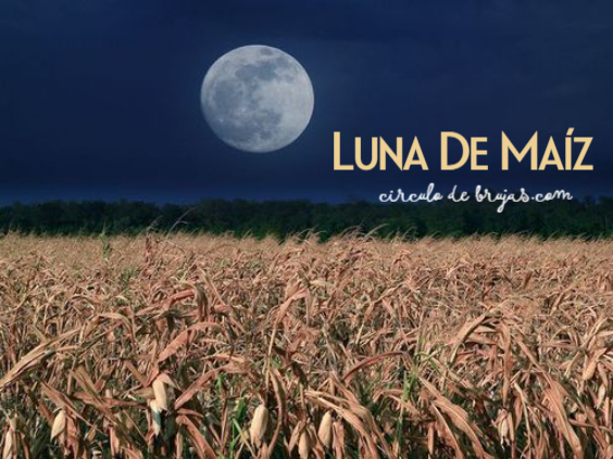 Luna De Maiz