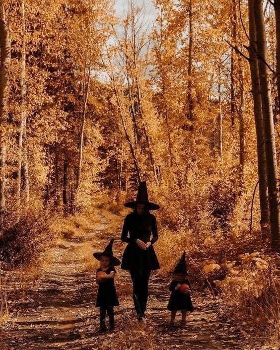 Brujas Bosque | Samhain. Época De Oscuridad Y Retrospección. | Sabbats