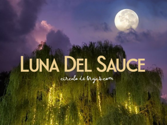 Luna Del Sauce
