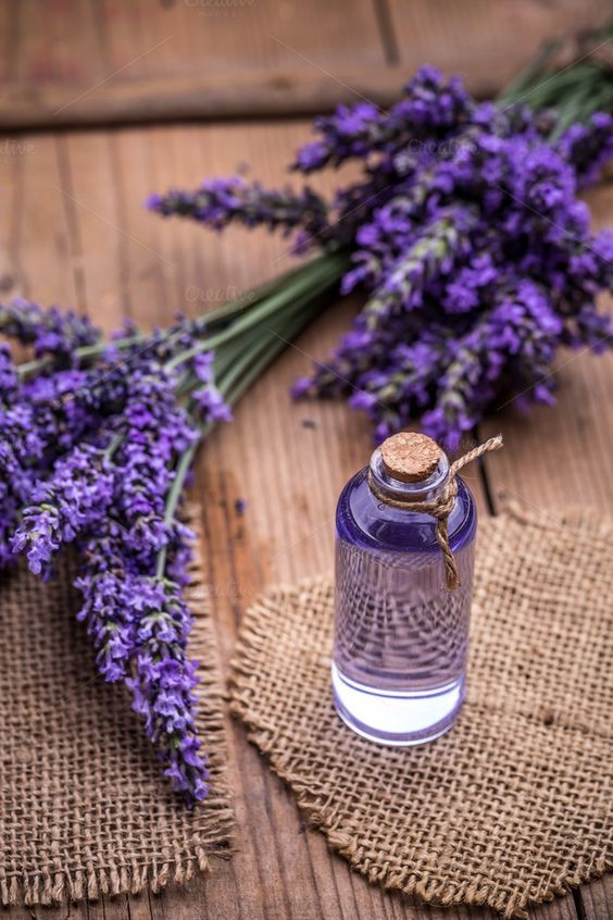 Lavanda Estracto Aceite | La Magia De La Lavanda | Hierbas & Cristales
