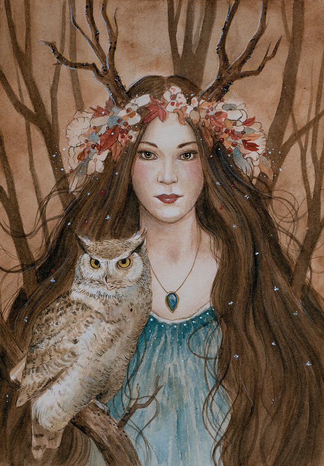 Buho Blodeuwedd | Las Diosas Búho | Animales De Poder