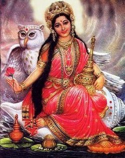 Lakshmi | Las Diosas Búho | Animales De Poder