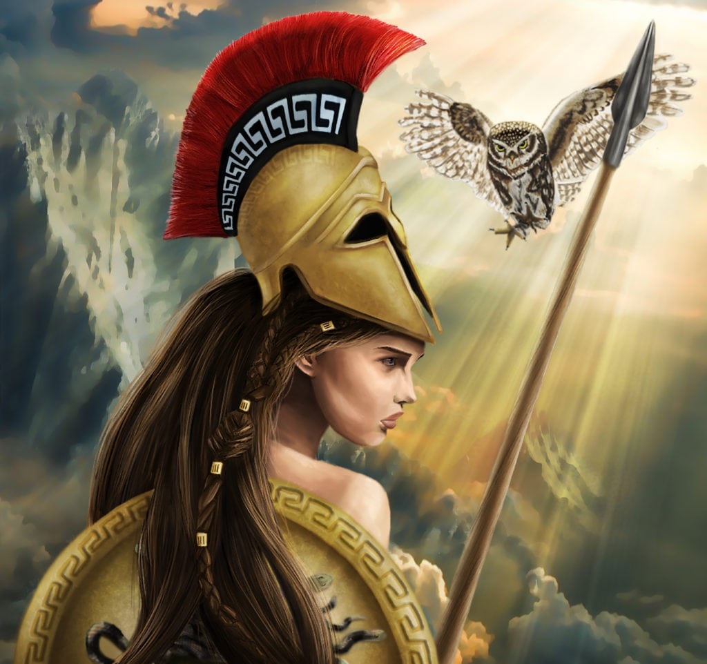 Palas Atenea 29 | Las Diosas Búho | Animales De Poder