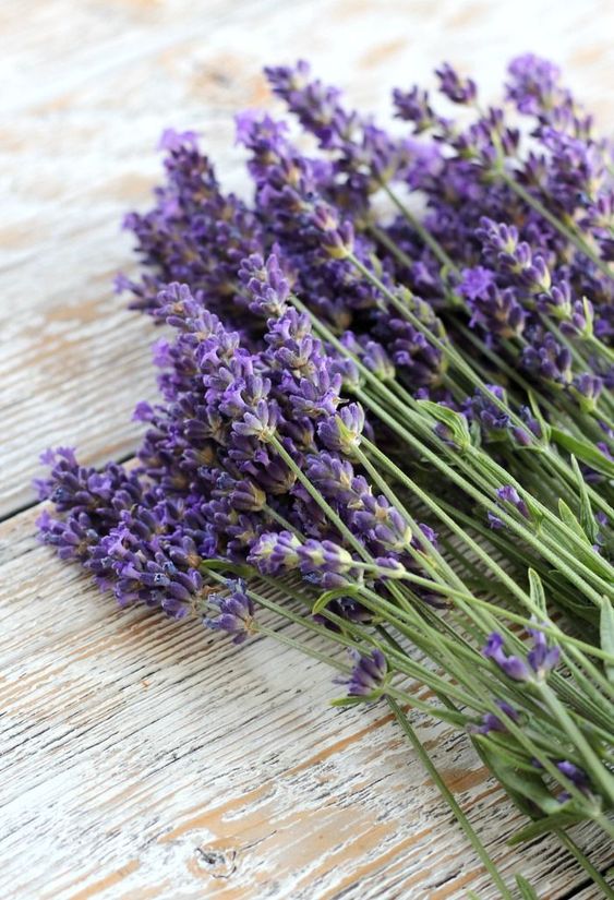 Lavanda | La Magia De La Lavanda | Hierbas & Cristales