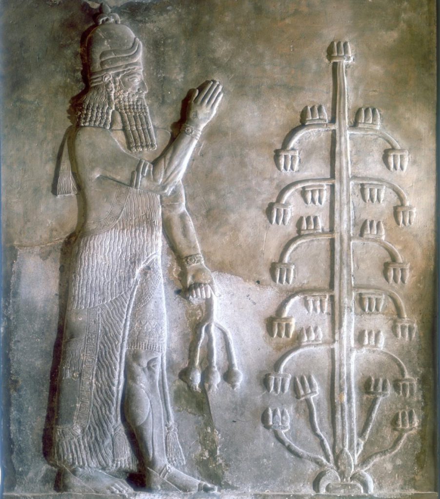 Asirio Sumerian Arbol De La Vida 902x1024 1 | Simbología Del Árbol De La Vida | Símbolos