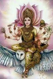 Lakshmi | Las Diosas Búho | Animales De Poder
