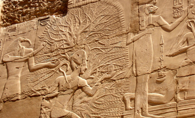 Egyptian Tree Of Life | Simbología Del Árbol De La Vida | Símbolos