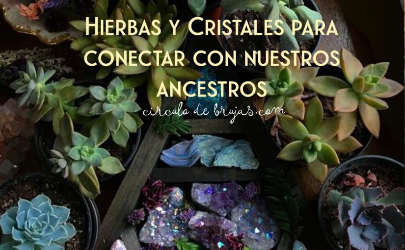 Hierbas Y Cristales Para Conectar Con Nuestros Ancestros