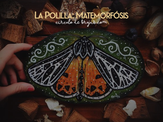 La Polilla Metamorfosis