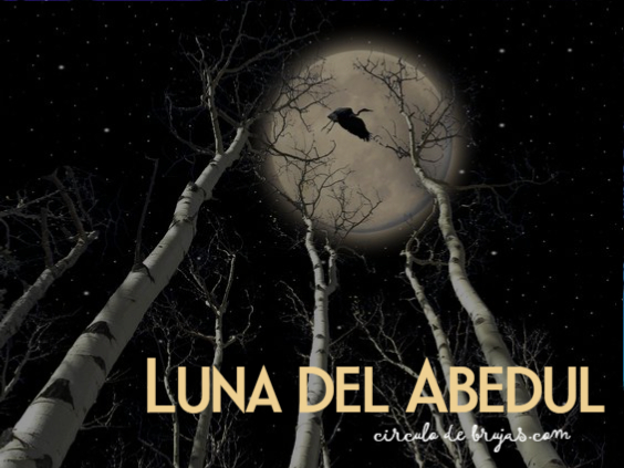 Luna Del Abedul