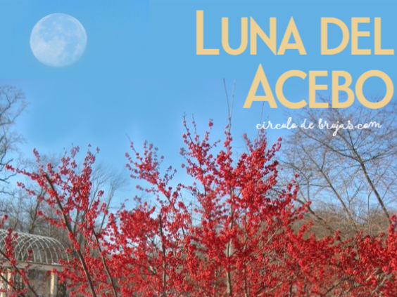 Luna Del Acebo