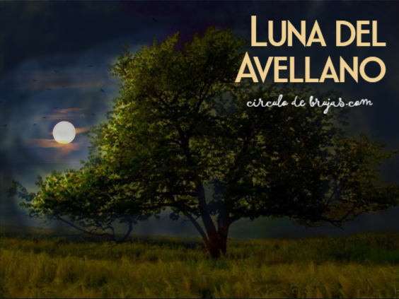 Luna Del Avellano