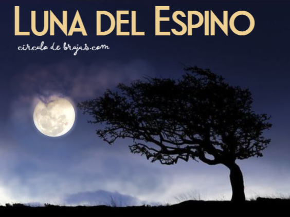 Luna Del Espino
