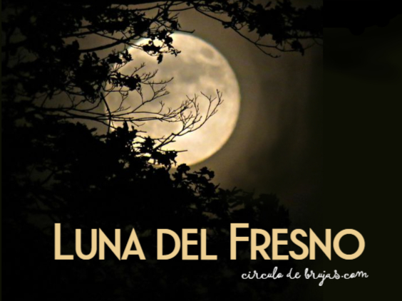 Luna Del Fresno
