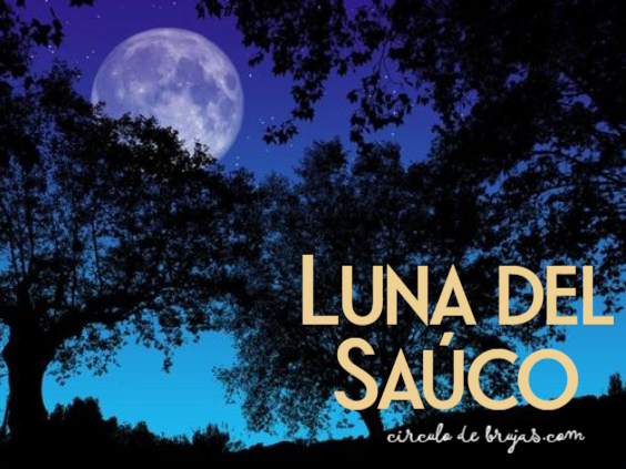 Luna del Saúco