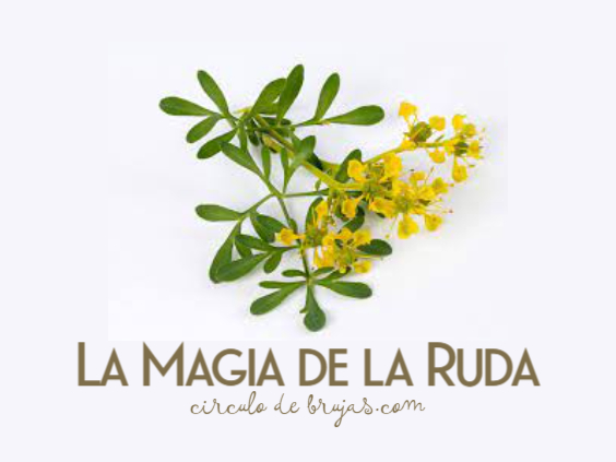 Magia con Ruda