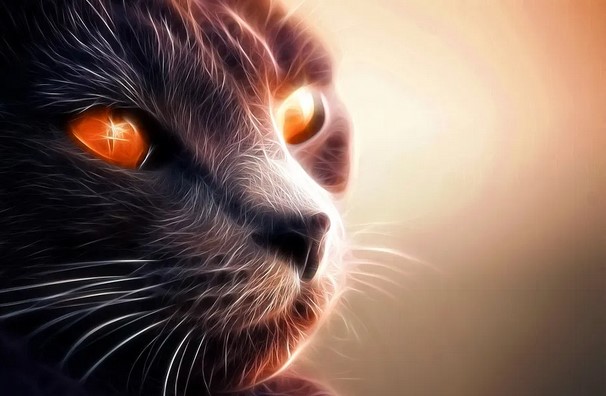 Gato | Gatos Del Sidhe | Animales De Poder
