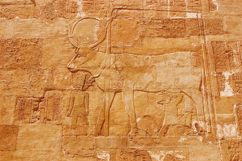 La Diosa Hathor En Forma De Vaca Relieve En El Templo De Luxor | Sekhmet | Mitología