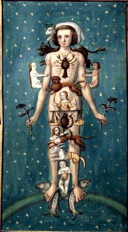 Cuerpo Astrologia Medica Signos | Astrología Médica | Astrología