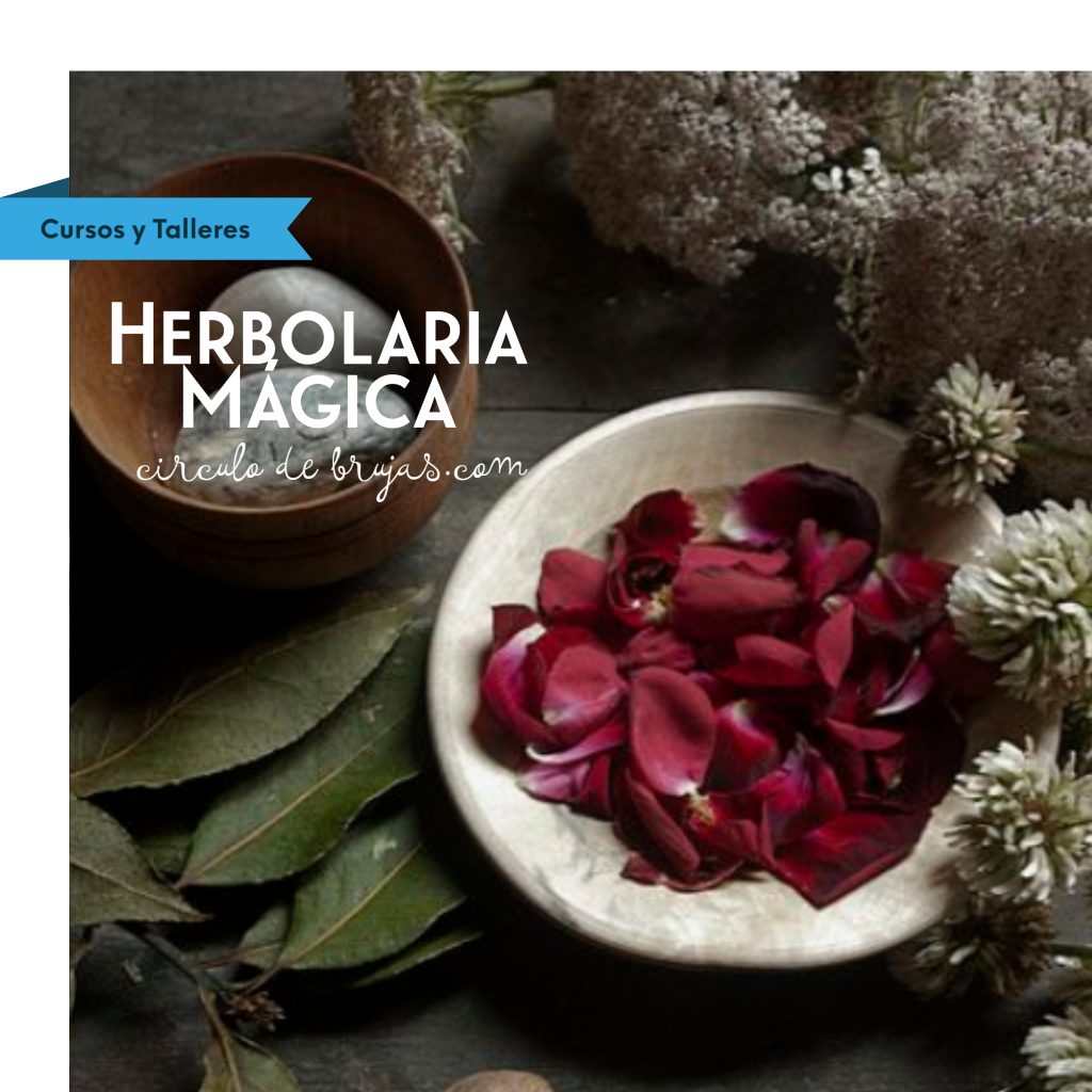 Herbolaria Hierbas Magicas | Herbolaria Mágica (curso) | Cursos Y Talleres