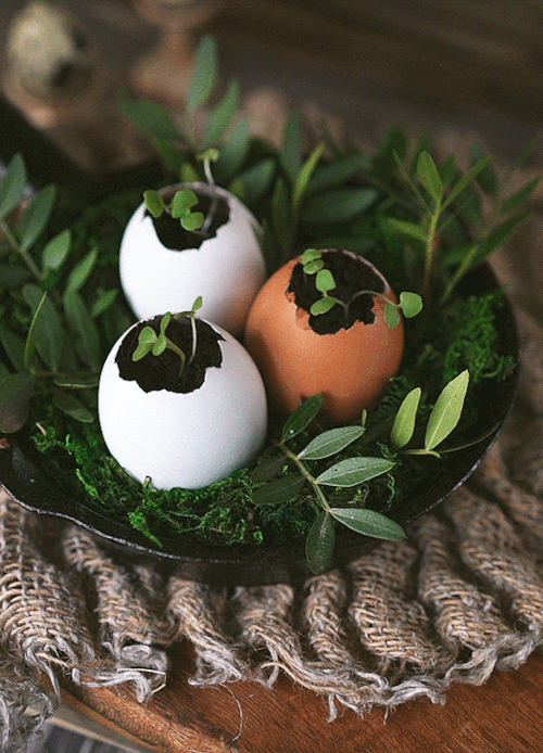 Huevos Semillas | Hechizos Para Ostara | Hechizos & Rituales