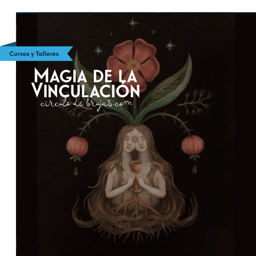 Magia Vinculacion