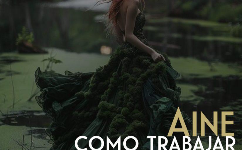 Formas de trabajar con Aine