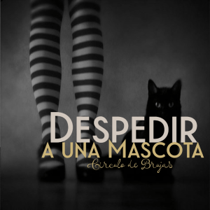 Ritual De Despedida Para Una Mascota