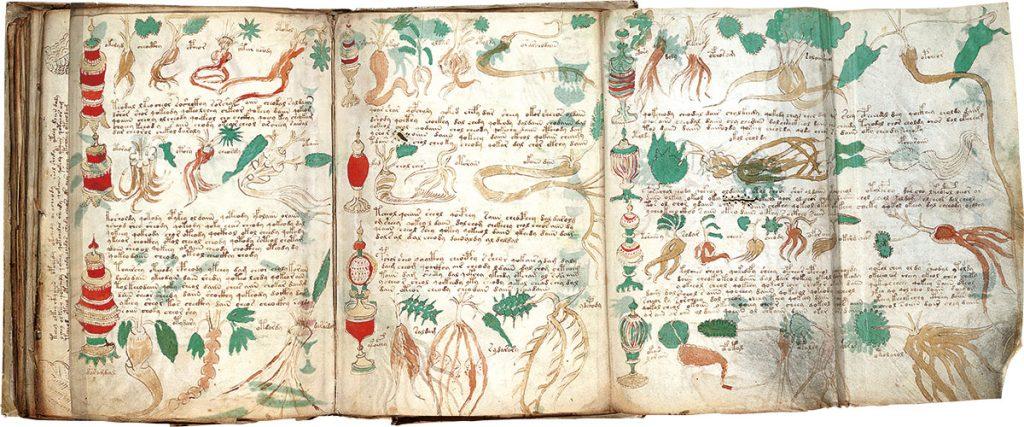 Codice Voynich Farmacologico 1e3648d0 | El Manuscrito Voynich | Libros Codice Voynich Farmacologico 1e3648d0 | El Manuscrito Voynich | Libros